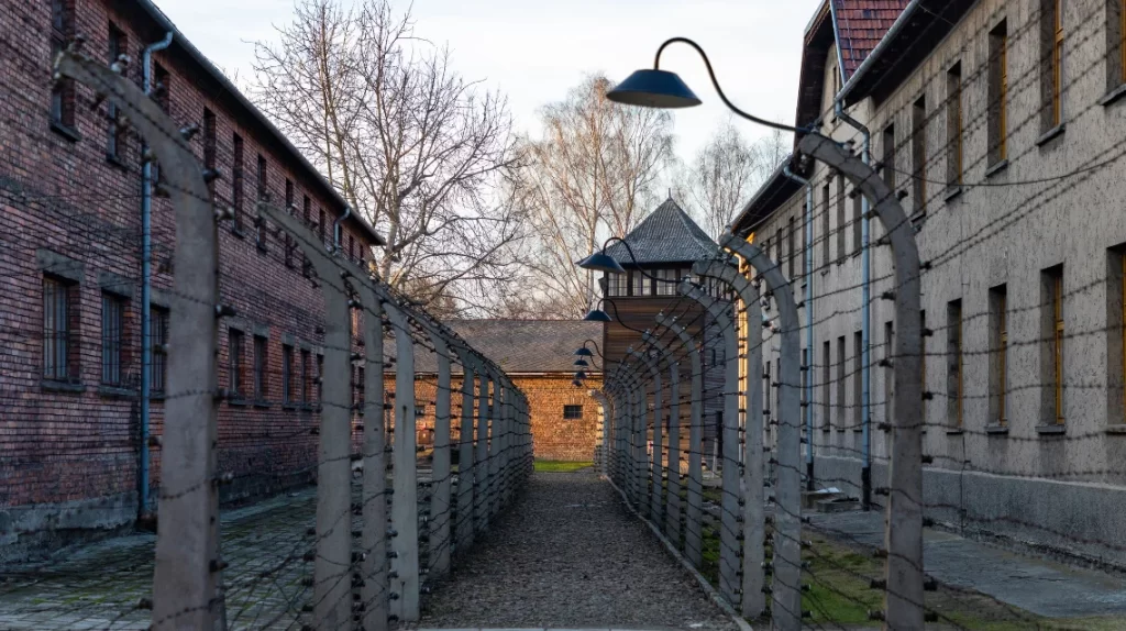 Holokost'un Nazi Kadınları - Auschwitz